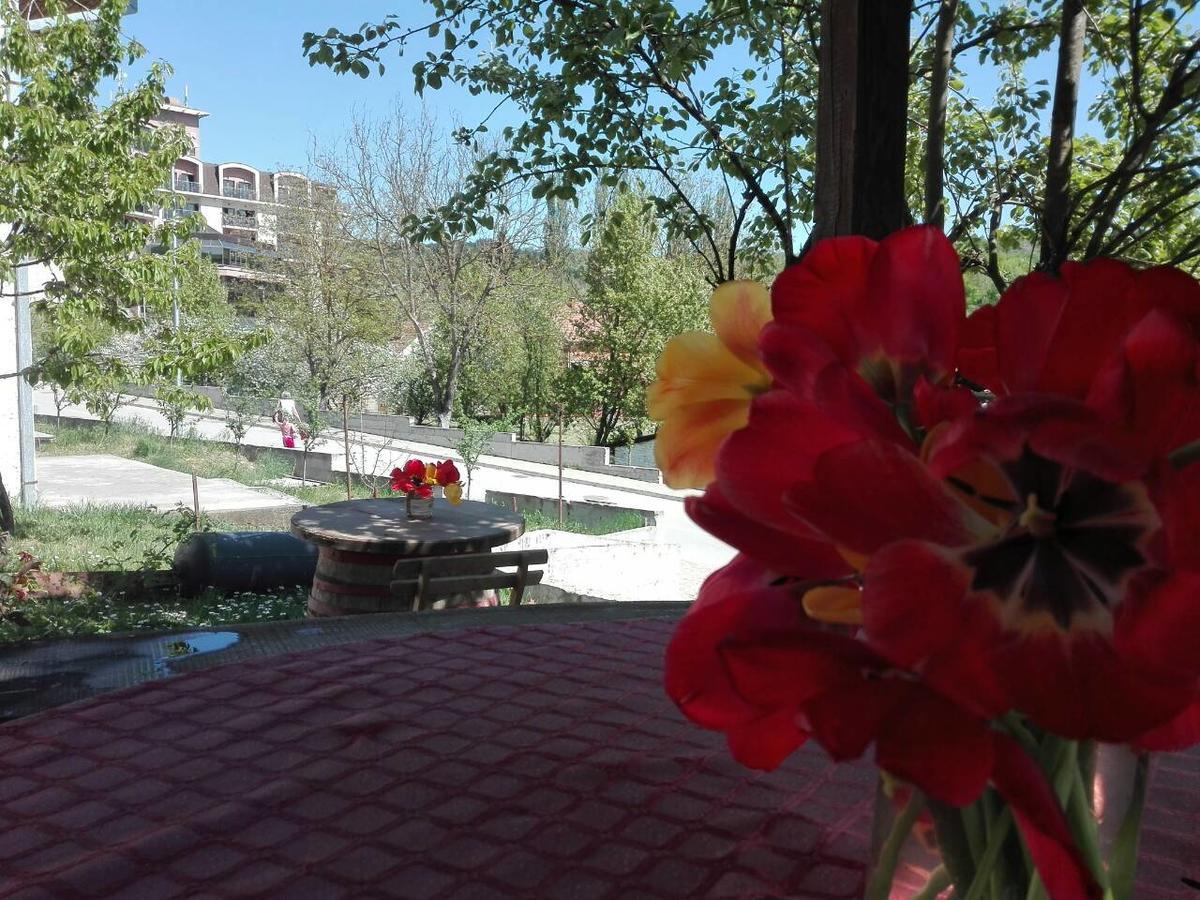 Apartmani Jankovic Връдник Екстериор снимка